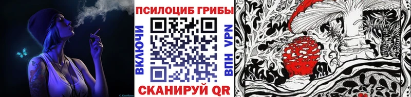 Купить закладки  Светлоград  Галлюциногенные грибы Psilocybe 
